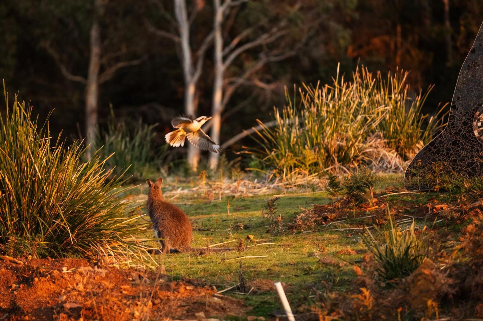 Freycinet Resort Coles Bay Eksteriør bilde
